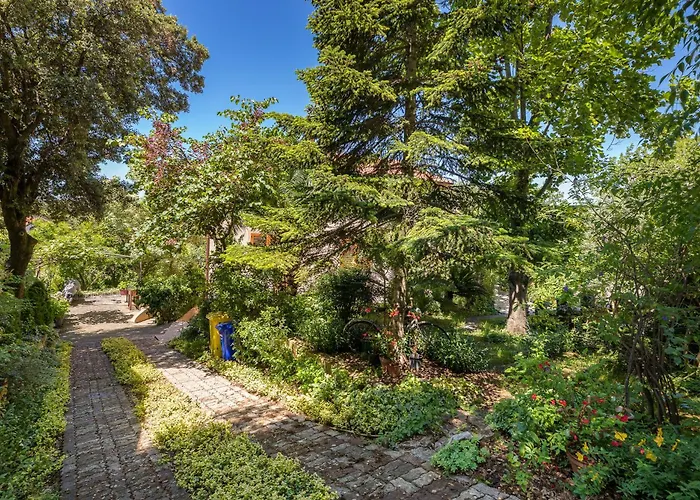 아파트 Afterglow *